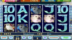 โปรสล็อตมาแรง จัดเต็มความคุ้มสำหรับสายปั่นบน PUSSY888 36 PUSSY888-Arctic Treasure-2