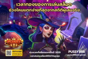 พุซซี่ 888 บริการเกมสล็อตออนไลน์ชั้นนำ บริการ 24/7 - PUSSY888 3 เวลาทองของการเล่นสล็อต